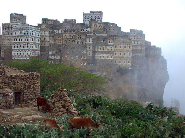 Socotra-11[1].jpg