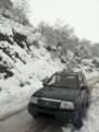 Άβαταρ μέλους