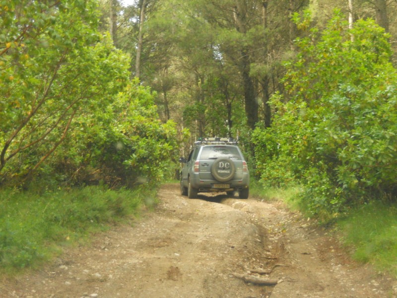 DSCN0170.jpg