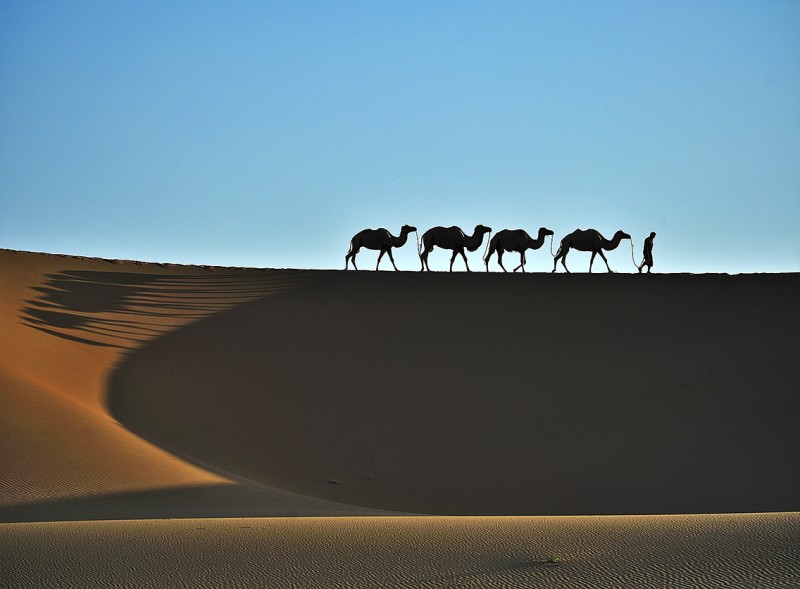 Desert - Jaechul Koo.jpg