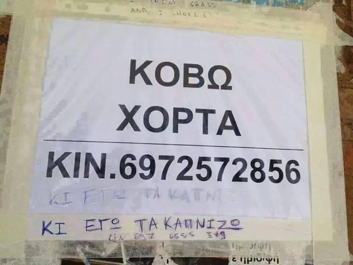 10415651_771563049554850_1529191651936163093_n.jpg