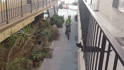 172226-e0.gif