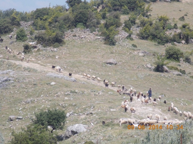 Εικόνα 006.jpg