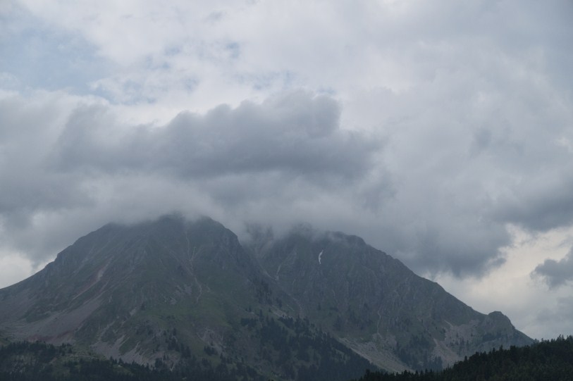 DSC08136.jpg