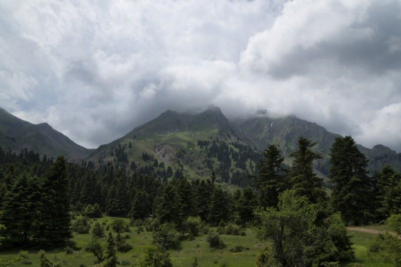 DSC08142.jpg
