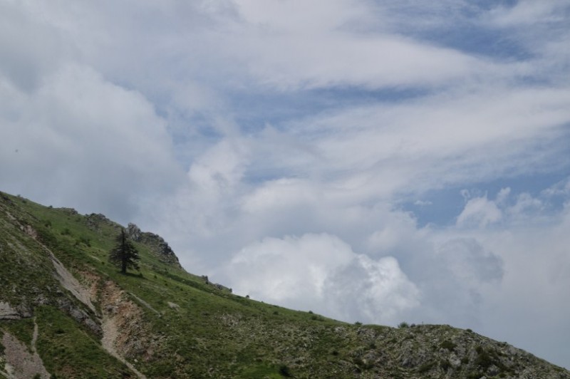 DSC08188.jpg