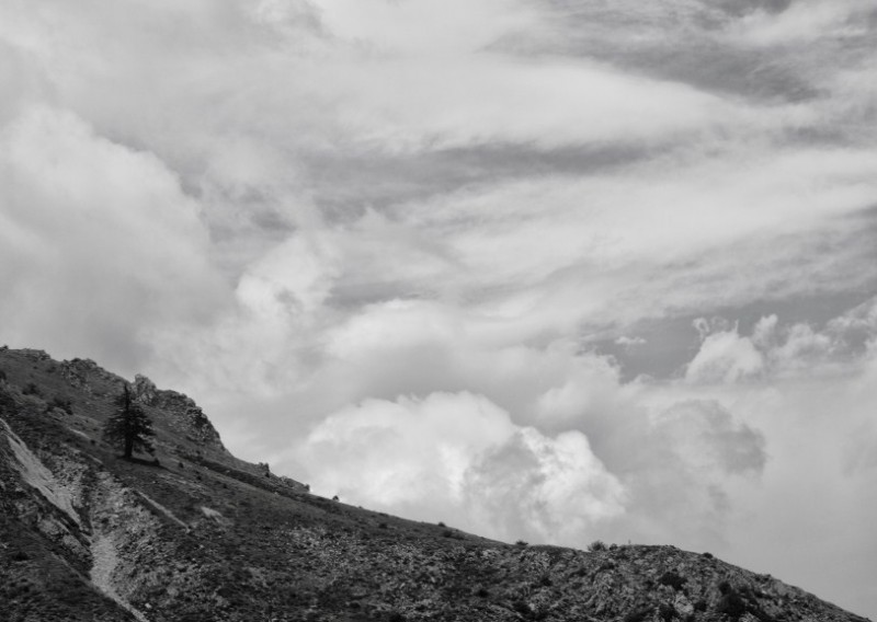 DSC08188bw.jpg