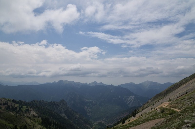DSC08204.jpg