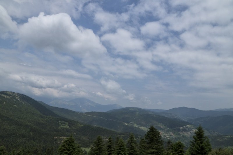 DSC08291.jpg