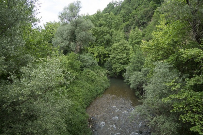DSC08335.jpg