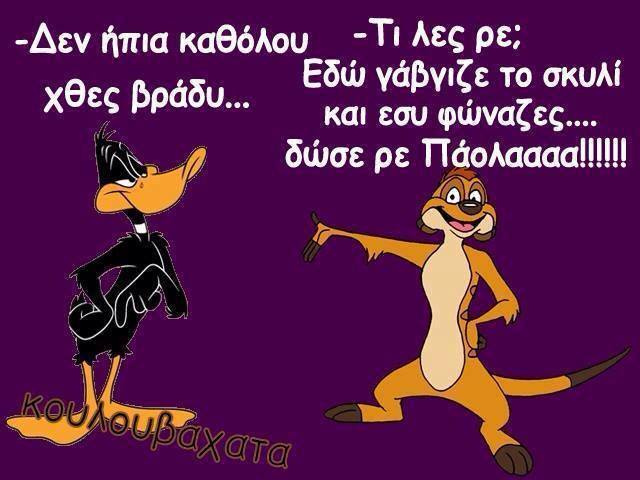 55_n.jpg