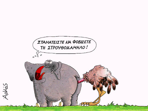 989_arkas15_1.jpg