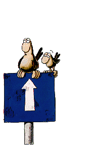 image001.gif