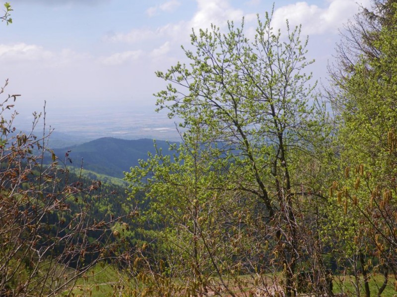 1-001_1024x768.jpg
