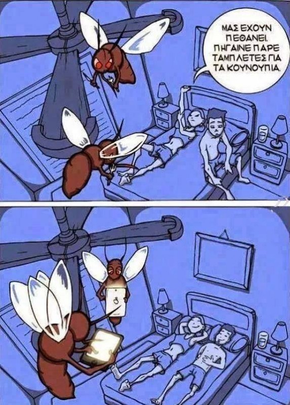 mosquitos.jpg