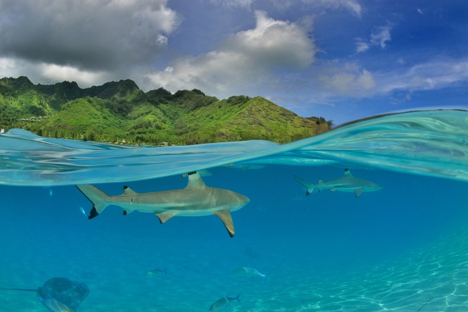 photoday-08-07-2014-665x443.jpg