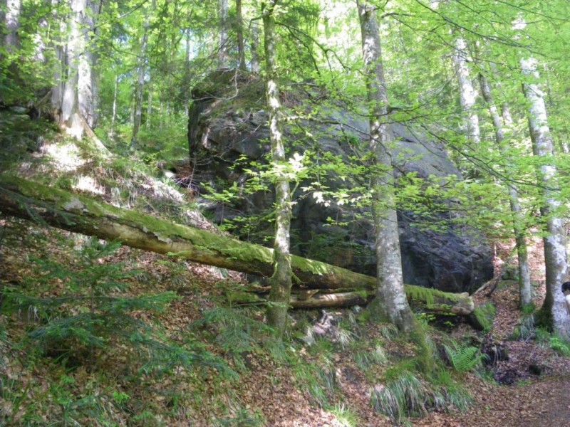 2-03-01_1024x768.jpg