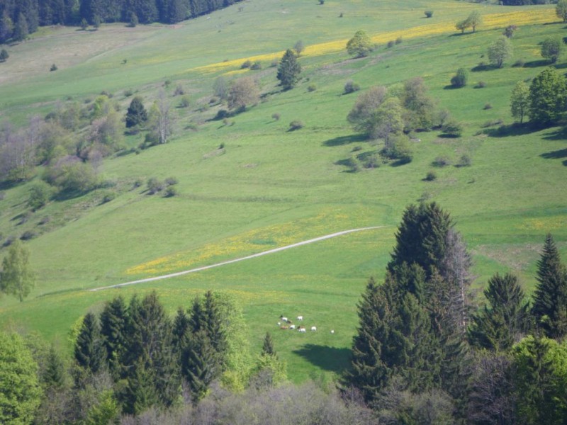2-04-02_1024x768.jpg