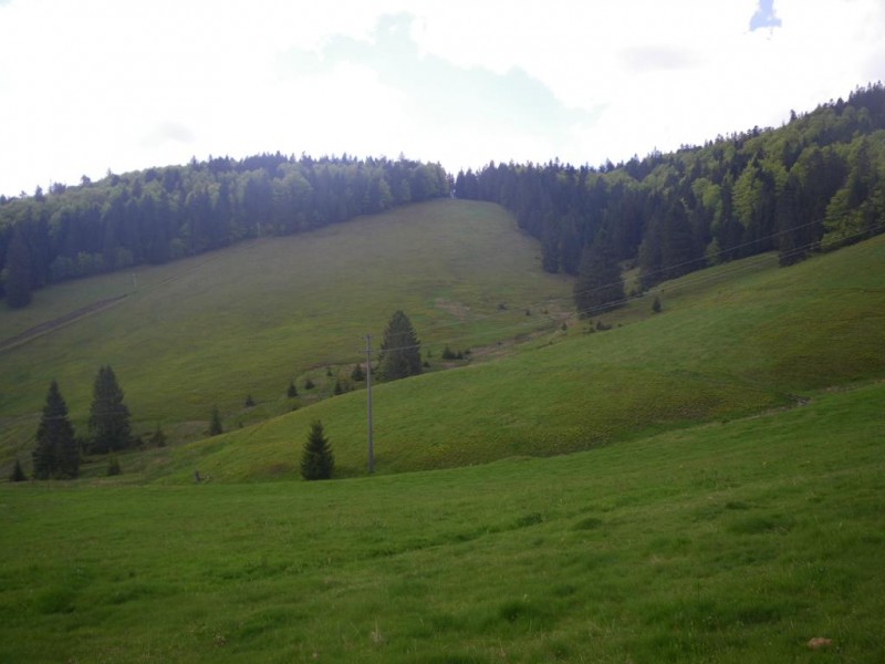 2-06-06_1024x768.jpg