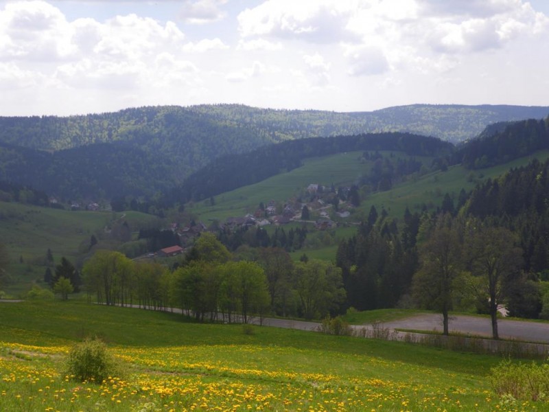 2-07-01_1024x768.jpg