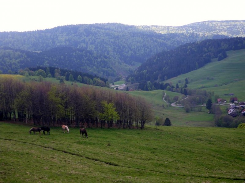2-08-02_1024x768.jpg