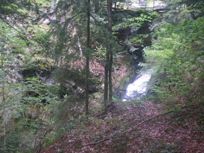 2-10-01_1024x768.jpg