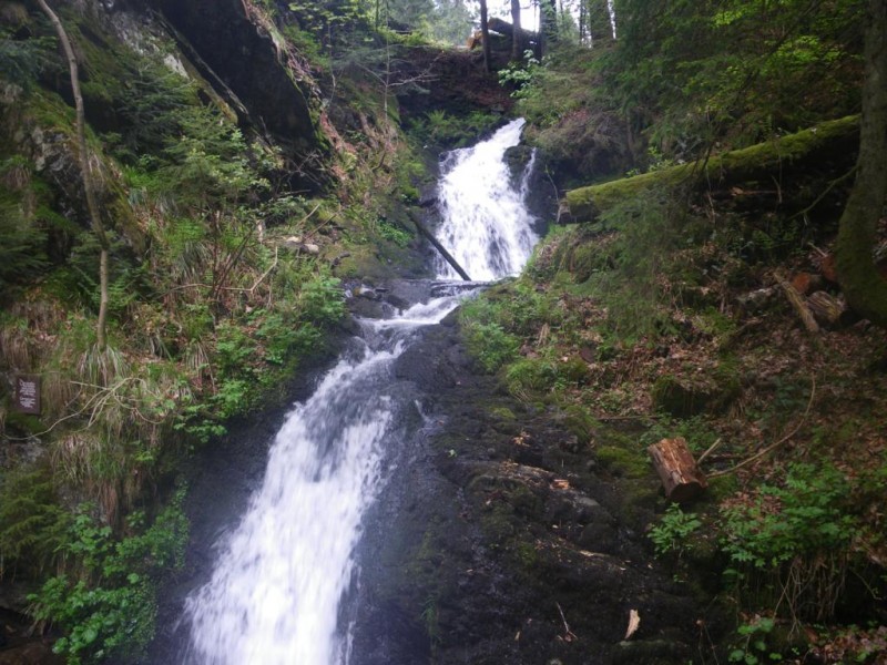 2-10-02_1024x768.jpg