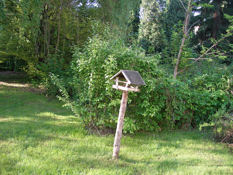P5123341.JPG