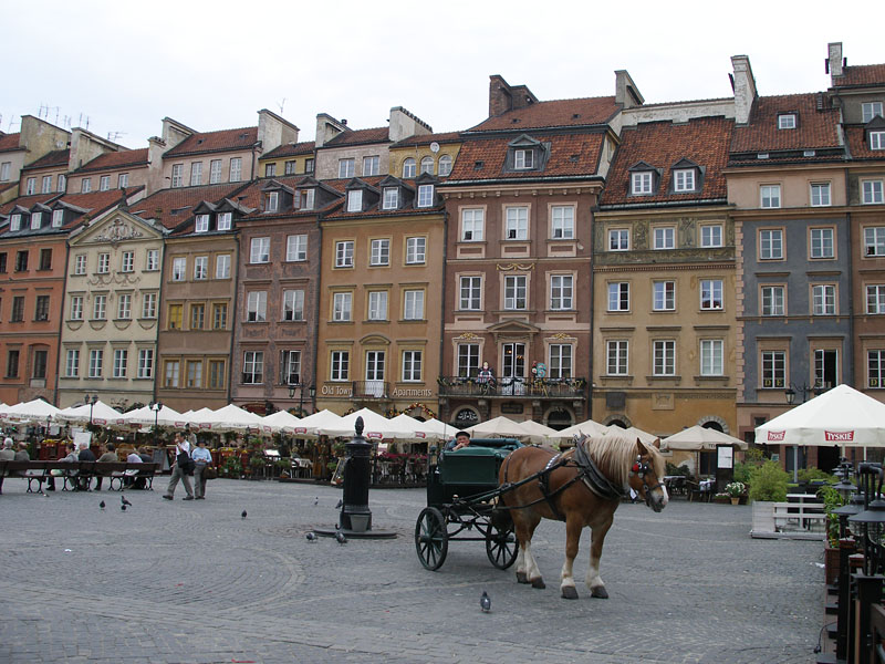 P5123436.JPG