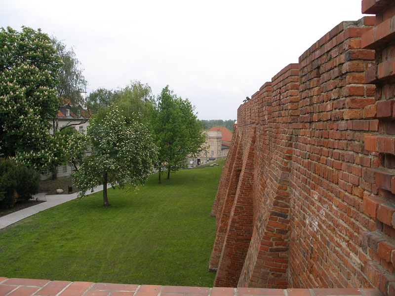 P5123466.JPG
