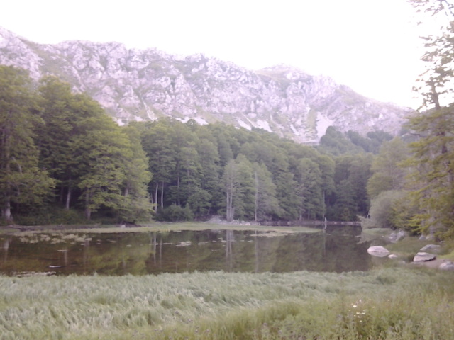 20140804_195535.jpg