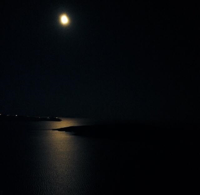 20140809_031028.jpg