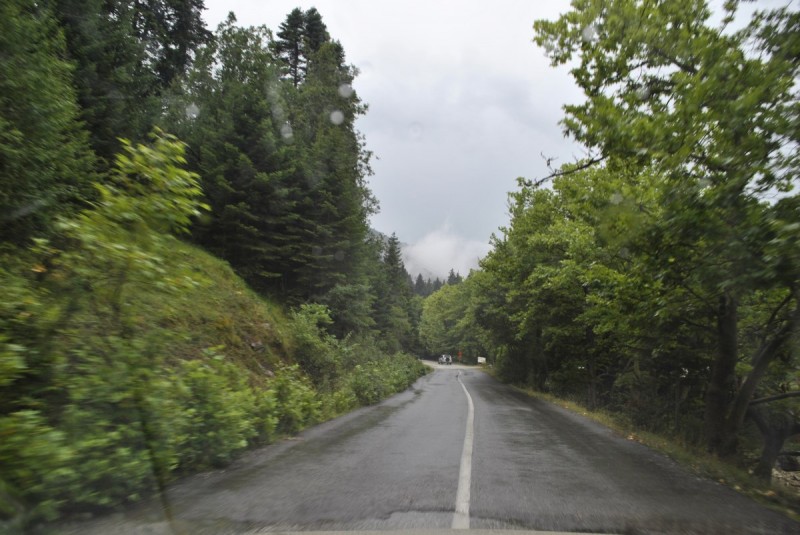 _DSC4503.jpg