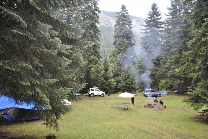 _DSC4550.jpg