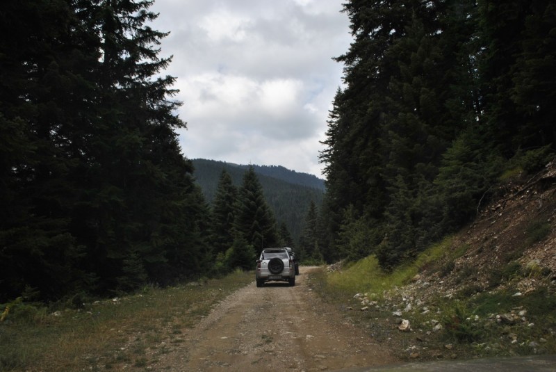 _DSC4637.jpg