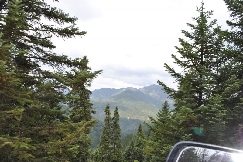 _DSC4654.jpg