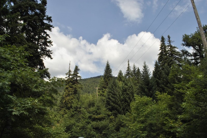 _DSC4665.jpg