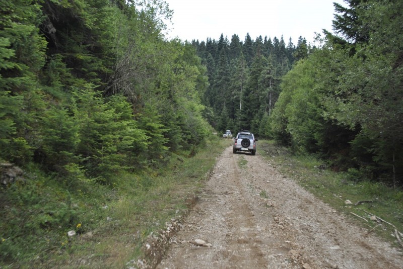 _DSC4758.jpg