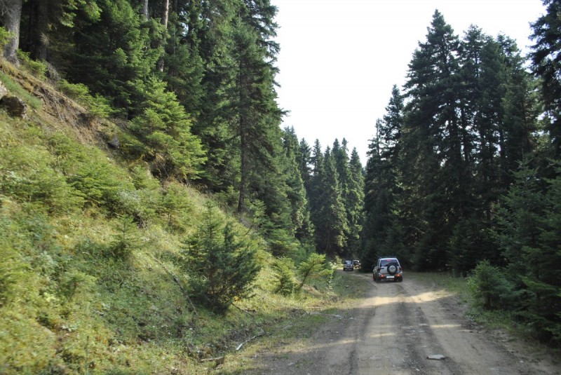_DSC4856.jpg