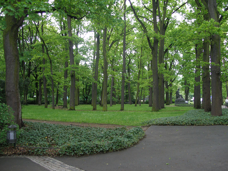 P5153646.JPG
