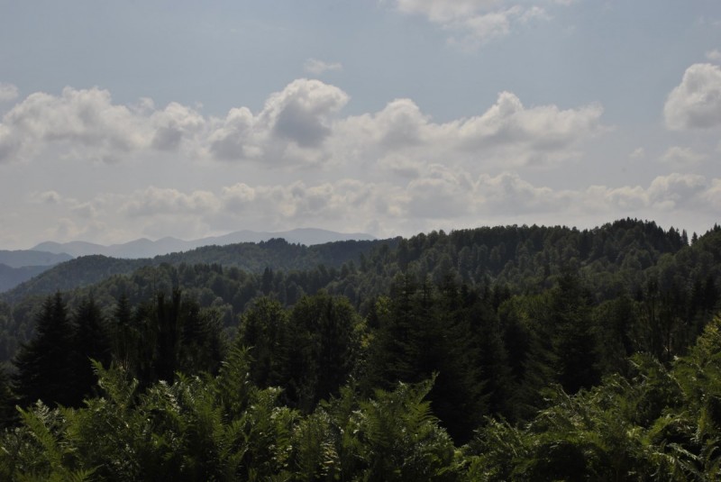 _DSC4978.jpg