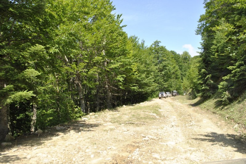 _DSC5005.jpg