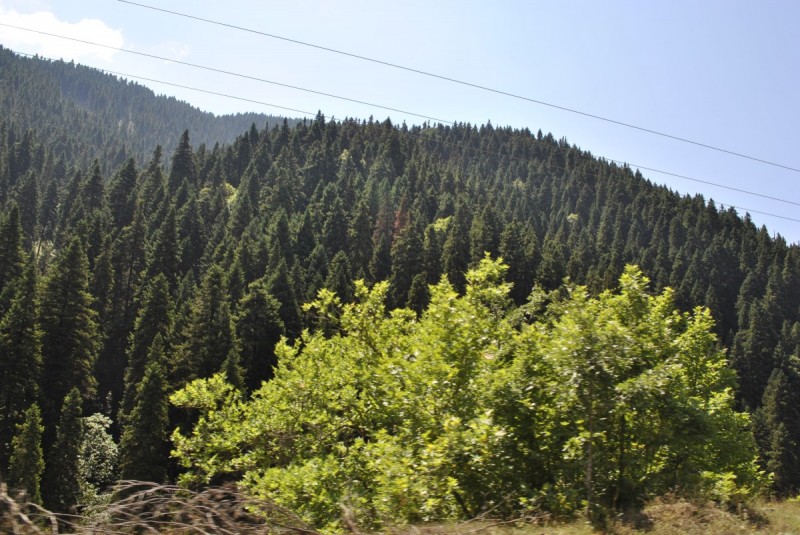 _DSC5155.jpg