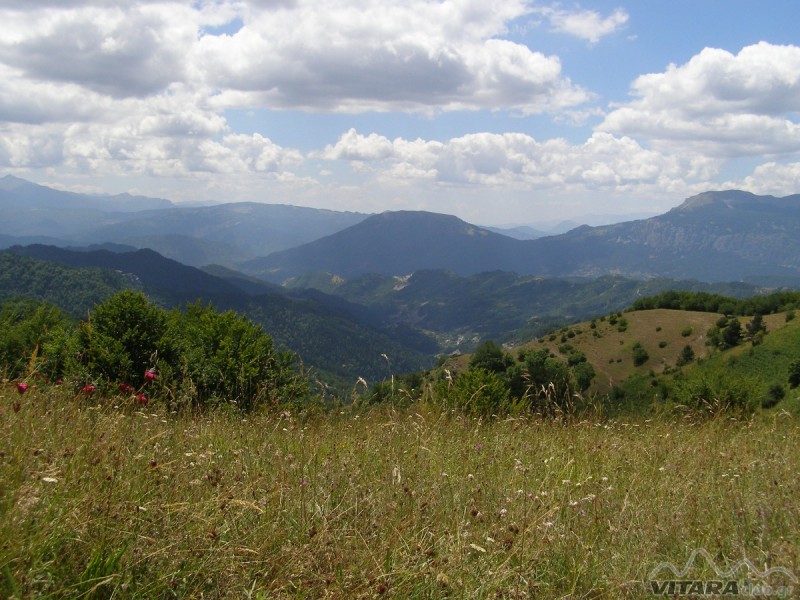 P8046929.JPG