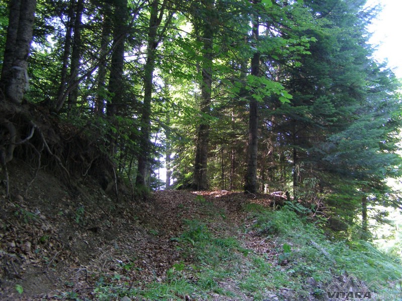 P8046948.JPG