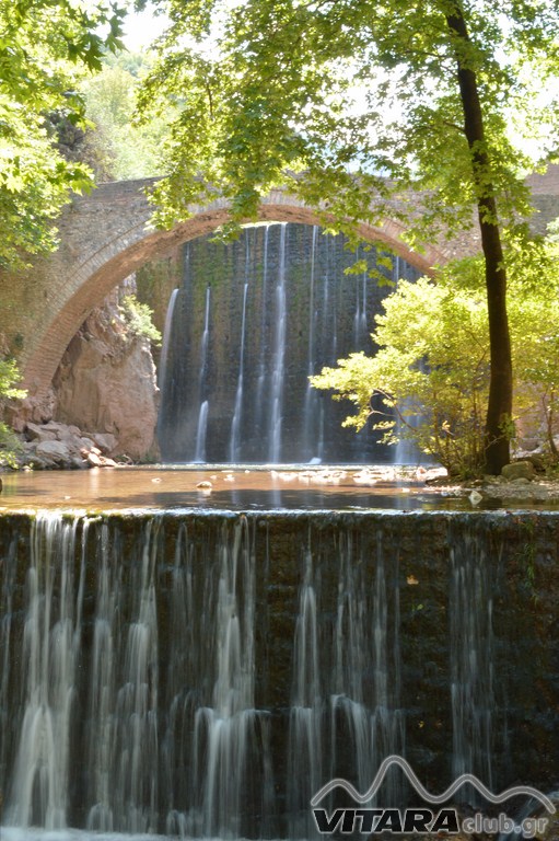 DSC_1767 (Αντιγραφή).JPG