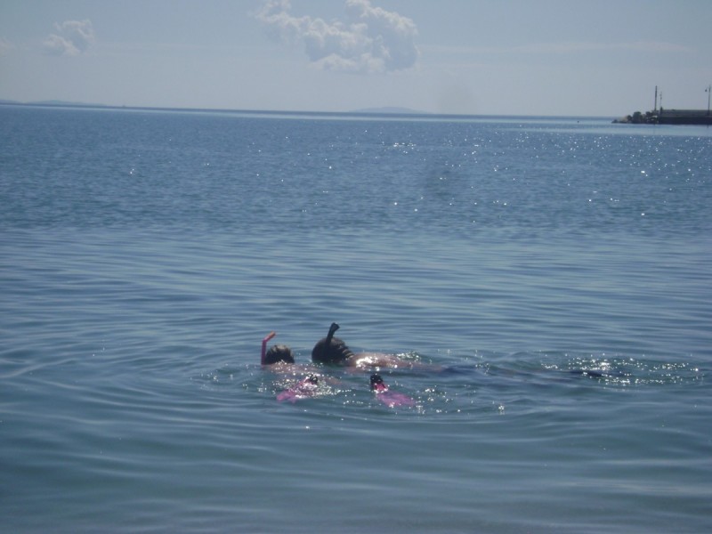 DSC02325.jpg