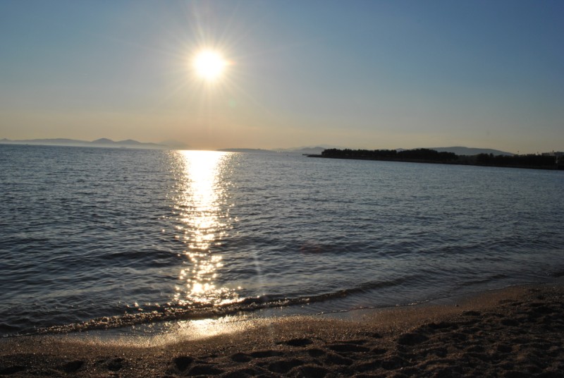 DSC_1229.jpg