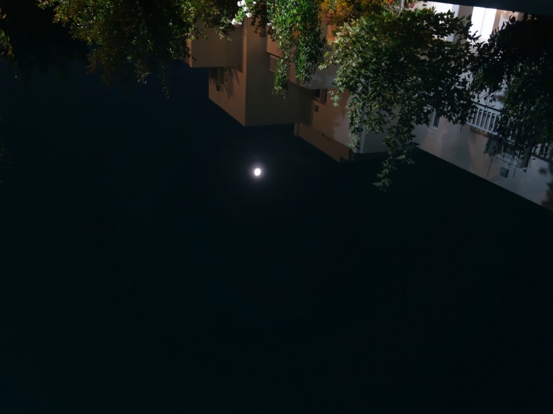 DSC01567_DxO.jpg