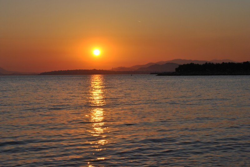 DSC_1254.jpg